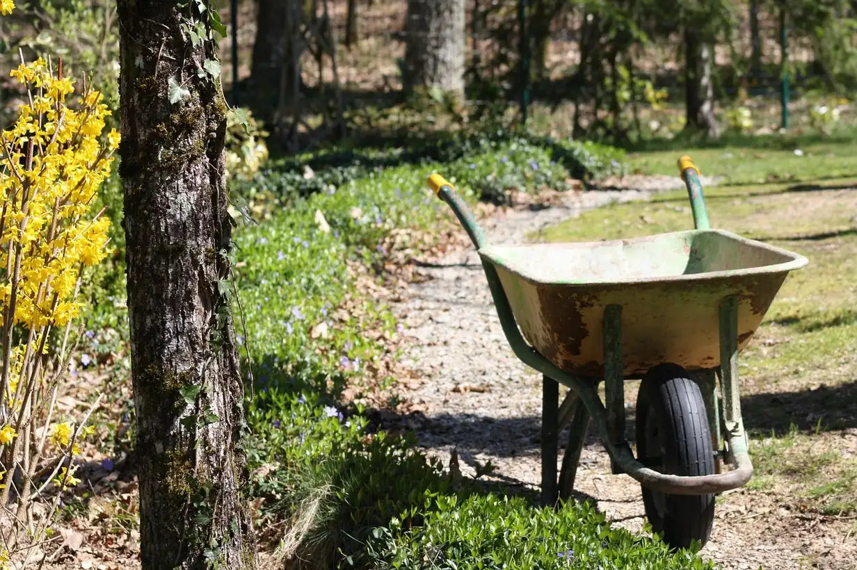 Brouette de jardin remplie de terre et d’outils, posée sur un chemin entre deux massifs fleuris dans un potager familial