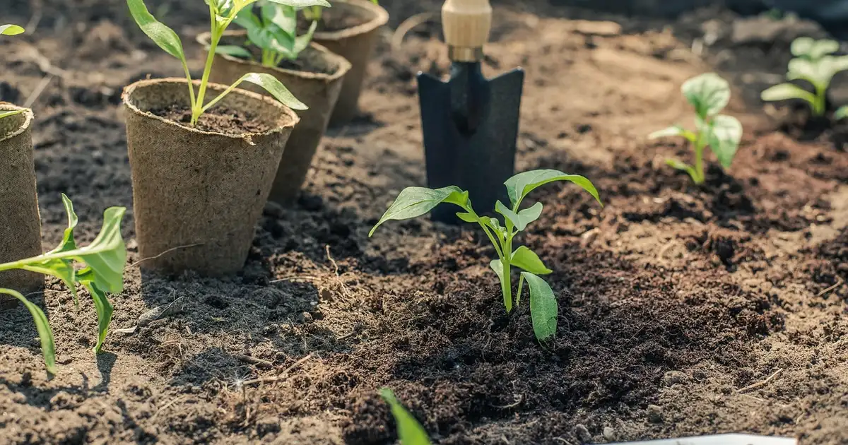Guide des plantations mars 2026 pour réussir semis et plantations au potager, au verger et au jardin d'ornement