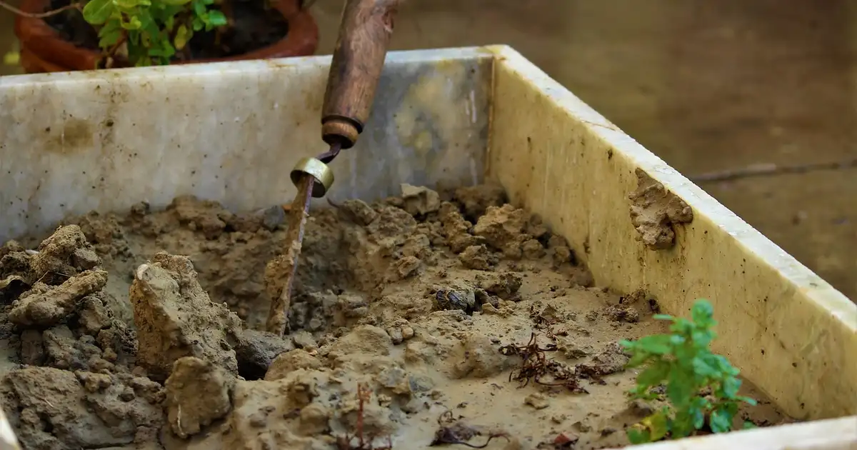Guide des plantations mars 2026 au verger avec jeunes pommiers et arbustes à baies plantés au printemps