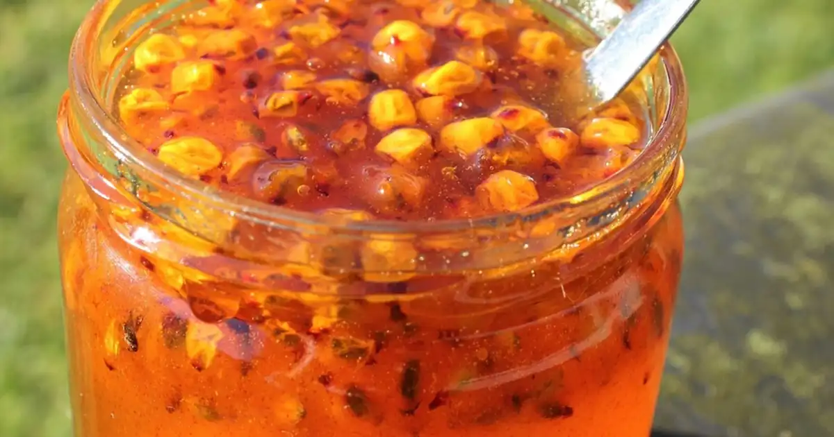 Baies d'argousier fraîches dans un bol prêtes à être transformées en recettes maison