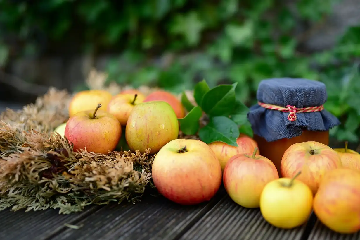 La pomme : top 5 des recettes délicieuses avec des idées simples de tartes, compotes, gâteaux et plats salés à base de pommes du jardin