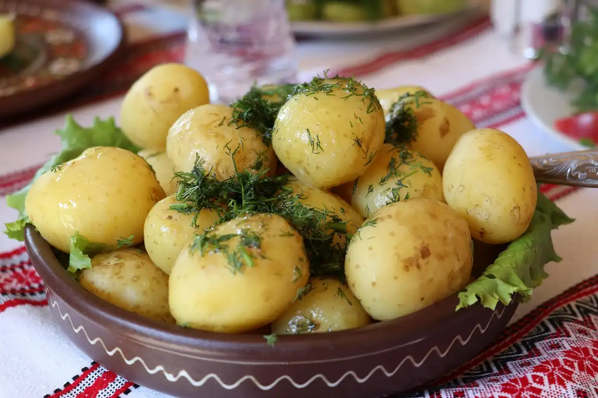 Pomme de terre et aneth : un mariage d’amour au potager et dans l’assiette, rangs de pommes de terre entourés d’aneth en fleurs dans un jardin familial
