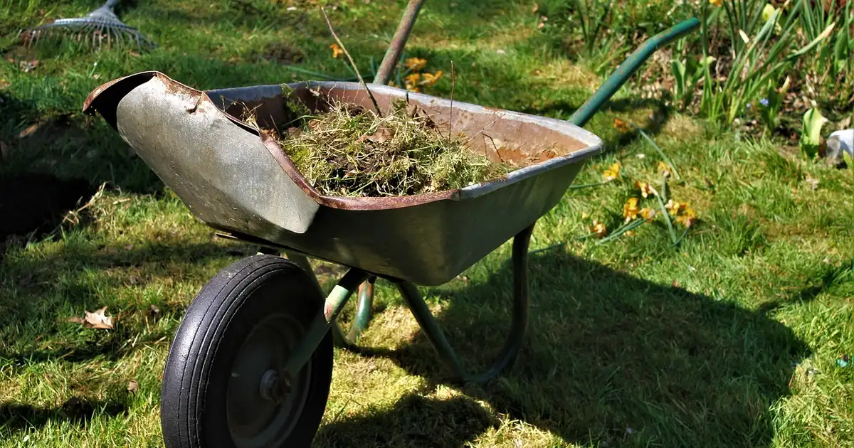 Préparation du potager au printemps en permaculture avec paillage, engrais verts et buttes de culture douce