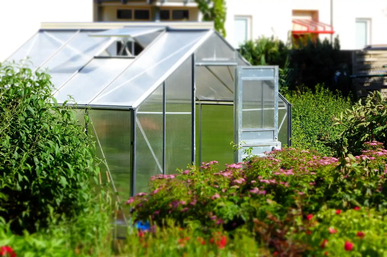 Serre de jardin en verre avec potager, semis et légumes cultivés à l’abri pour prolonger la saison et protéger les plantes