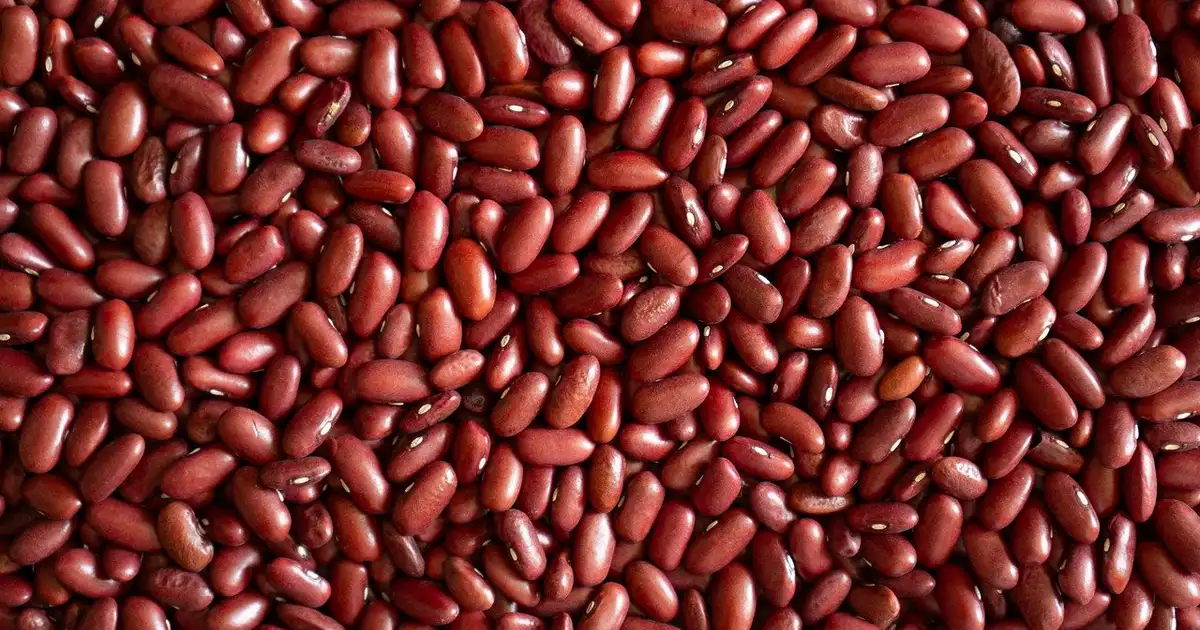 Bol de haricots rouges secs et cuits, illustrant les haricots rouges en cuisine et leurs usages variés