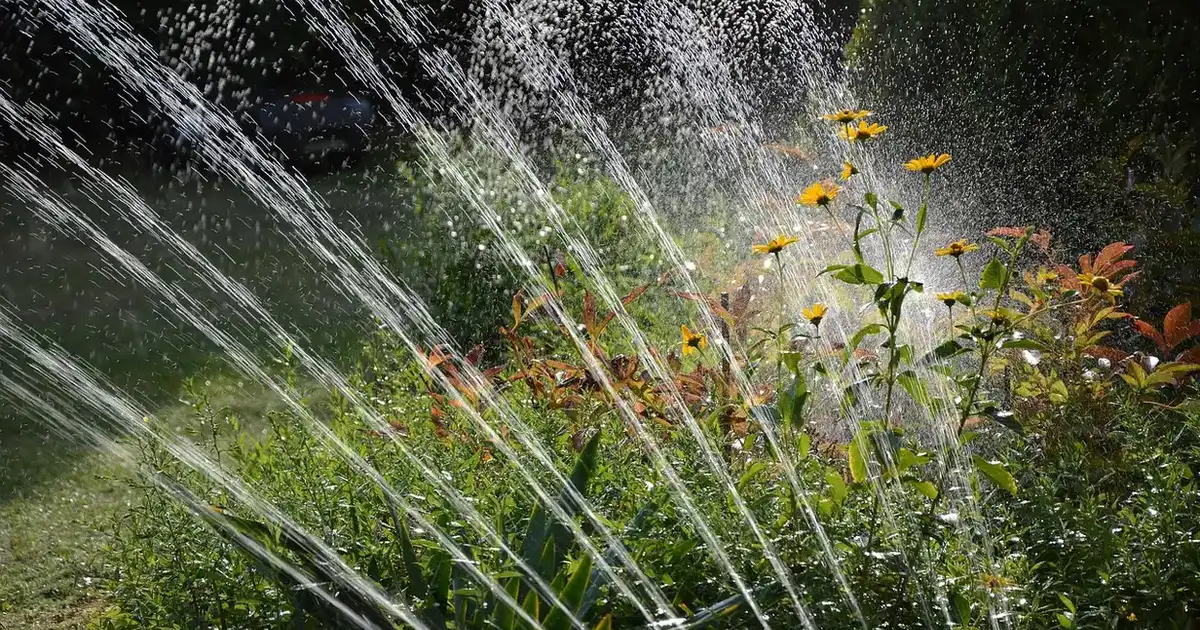Jardin pendant les vacances : arrosage automatique qui garde massifs et fleurs en vie durant l'absence