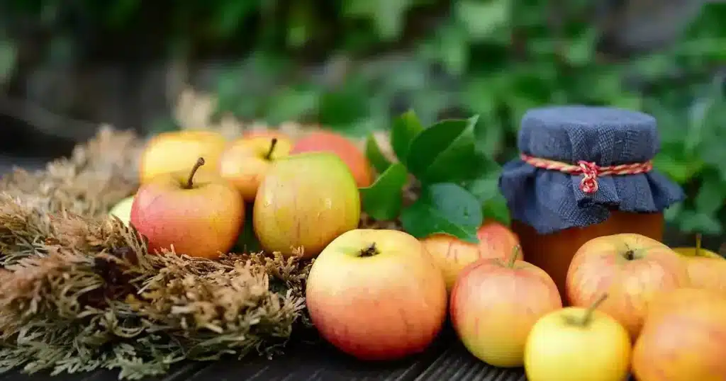 Conserver les pommes : pommes fraîchement récoltées et un bocal de compote posés sur une table en bois au jardin en automne.