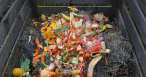 Compost de jardin en décomposition, une bonne destination pour les feuilles mortes ramassées au jardin en automne.