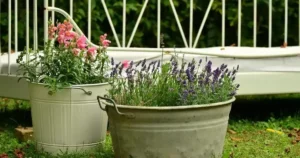 Jardinière d'automne avec des pots fleuris posés dans l'herbe parmi les premières feuilles mortes, ambiance douce de début d'automne