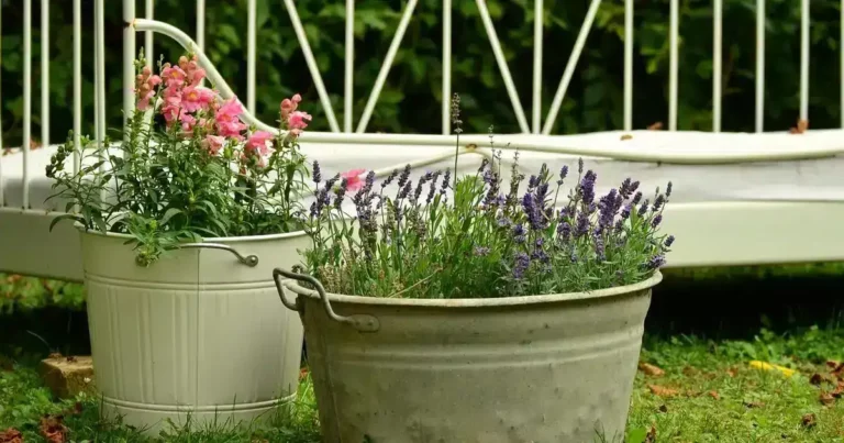 Jardinière d'automne avec des pots fleuris posés dans l'herbe parmi les premières feuilles mortes, ambiance douce de début d'automne
