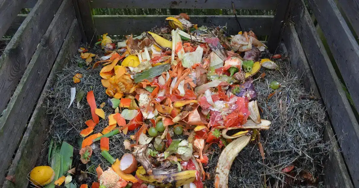 Compost de jardin en bac en bois rempli d'épluchures, un geste clé pour savoir que faire au jardin en octobre