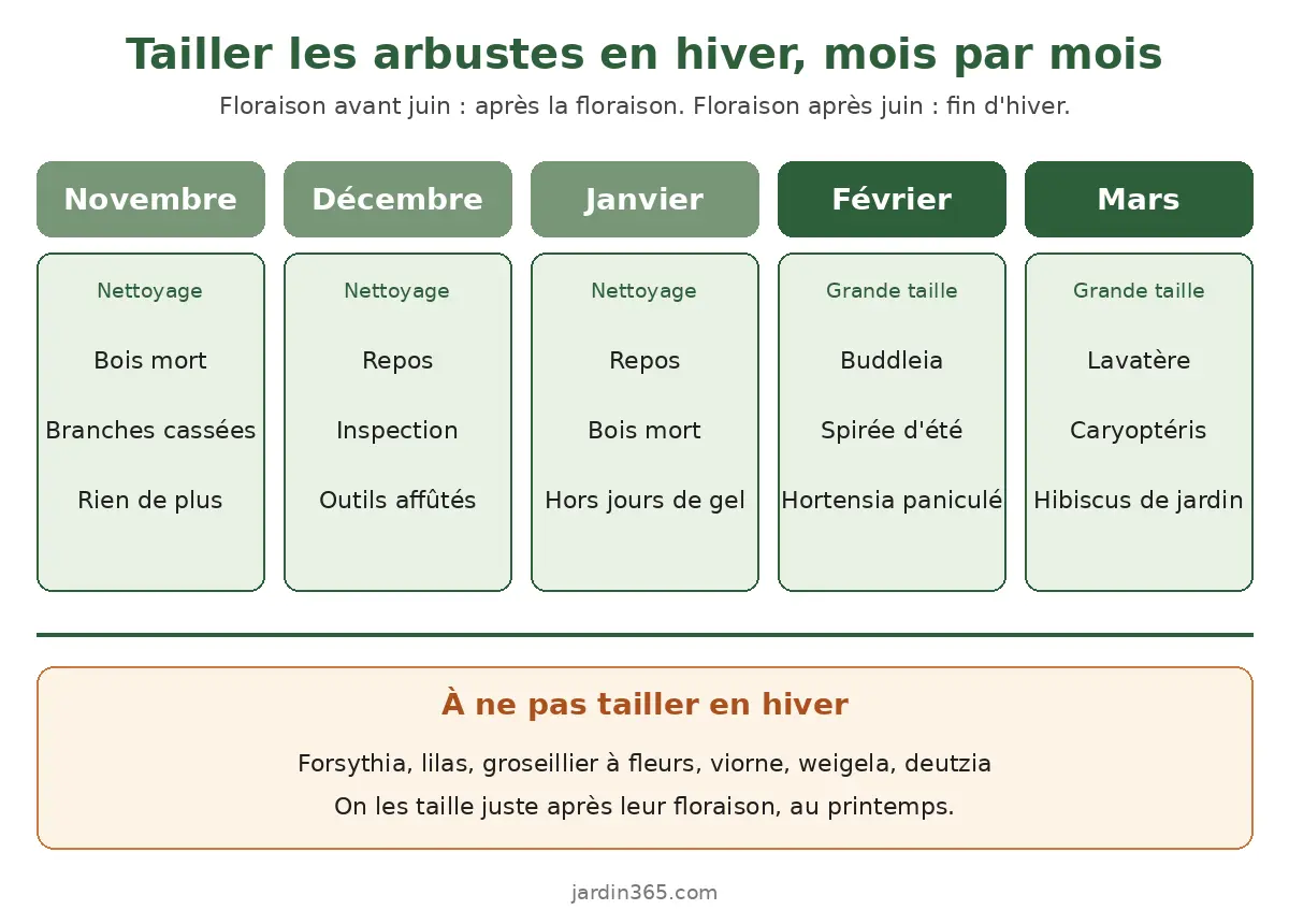 Infographie du calendrier de taille des arbustes de novembre à mars, avec les arbustes à tailler et ceux à laisser jusqu'au printemps